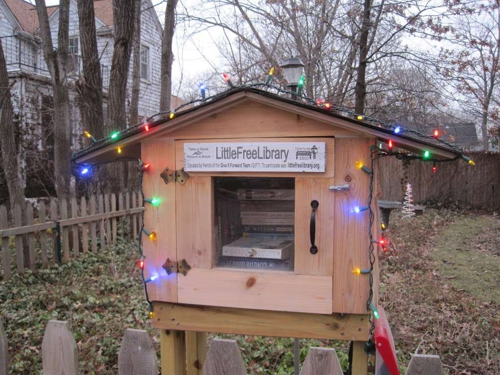 Little Free Library #2650 | 1010 Center St, Elgin, IL 60120, USA
