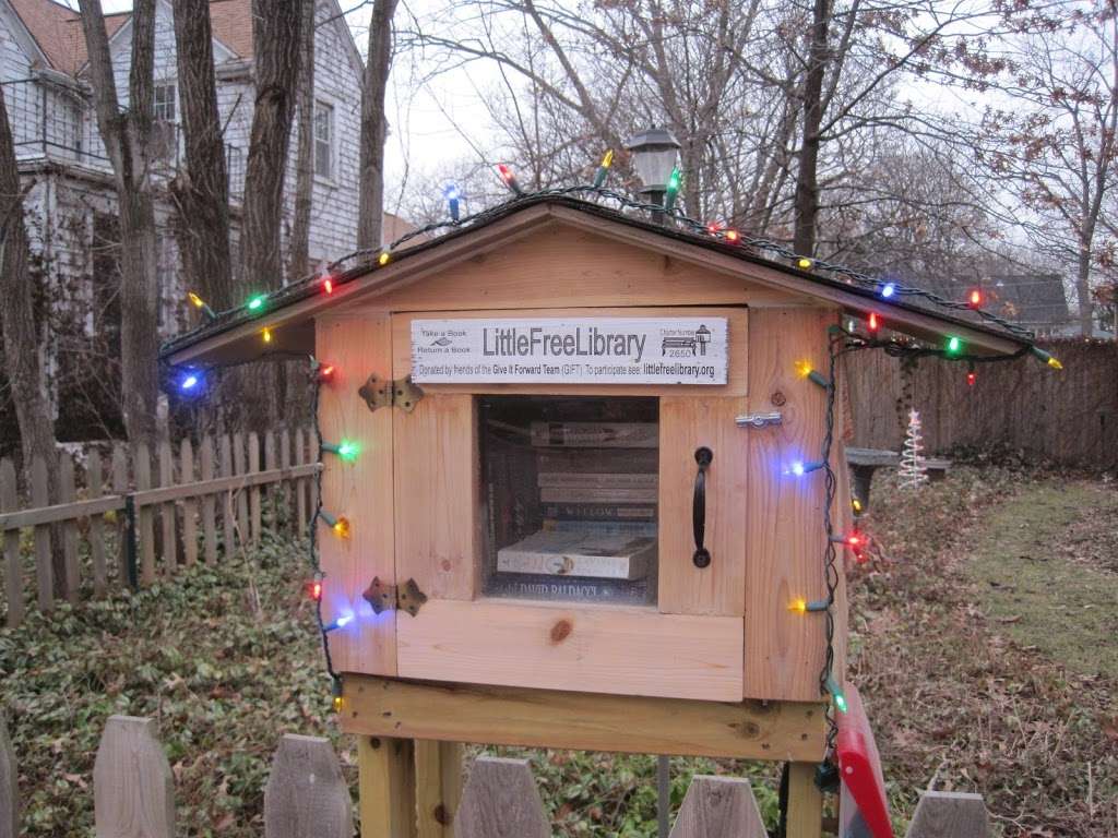 Little Free Library #2650 | 1010 Center St, Elgin, IL 60120