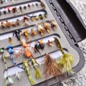 Ascent Fly Fishing | 8157 W Morraine Dr, Littleton, CO 80128, USA | Phone: (720) 580-9558