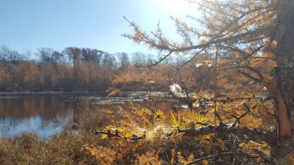 Beulah Bog State Natural Area | Stringers Bridge Rd, East Troy, WI 53120, USA | Phone: (608) 266-0394