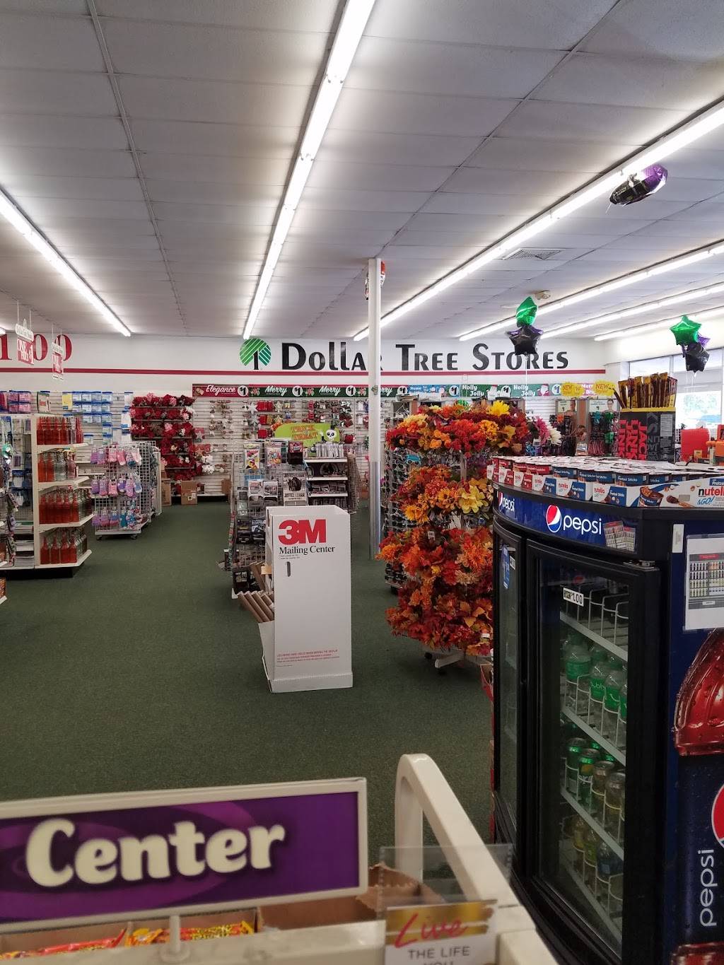 Dollar Tree | 4635 Gulf Blvd, St Pete Beach, FL 33706, USA | Phone: (727) 568-8299