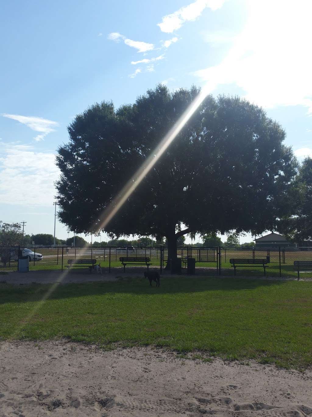 Diogi Dog Park | west, 500 W Carter Rd, Mulberry, FL 33860, USA