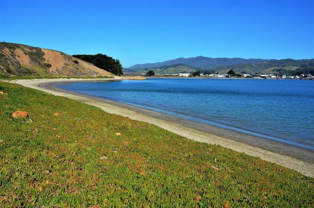 West Shoreline Access | Unnamed Road, Half Moon Bay, CA 94019, USA