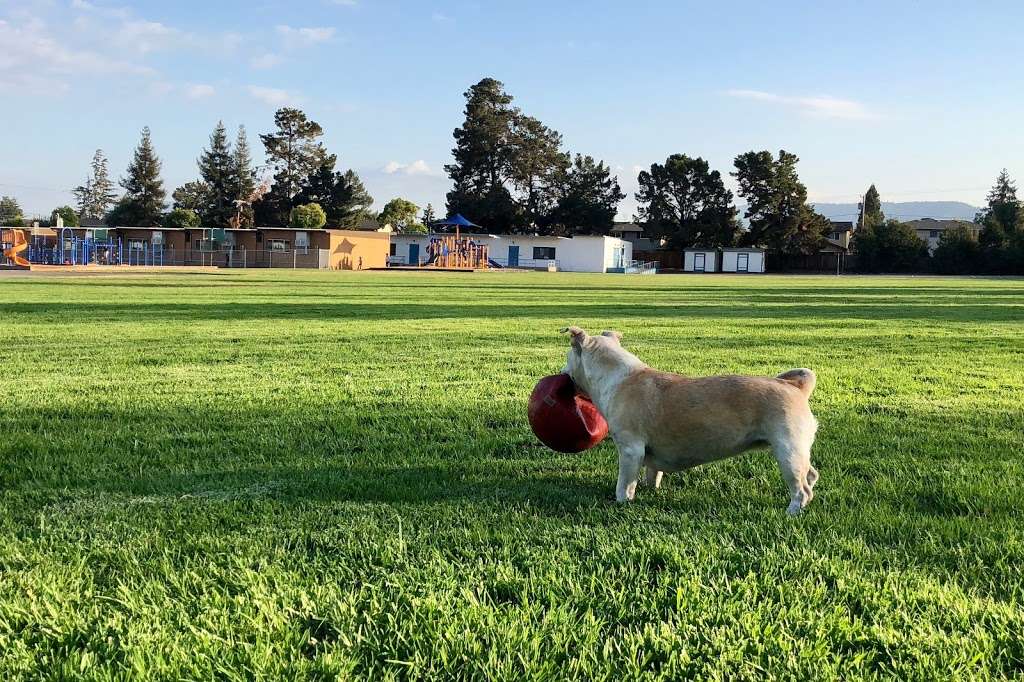 William Faria Elementary School | 10155 Barbara Ln, Cupertino, CA 95014 | Phone: (408) 252-0706