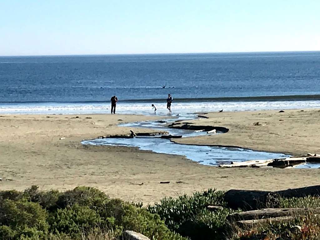 Drakes Beach Bookstore @ Point Reyes National Seashore | Drakes, 1 Drakes Beach Rd, Inverness, CA 94937, USA | Phone: (415) 669-1210