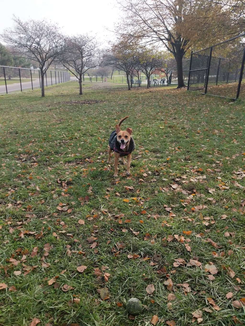 Edgewater Dog Park | 5800 N Lake Shore Dr, Chicago, IL 60660