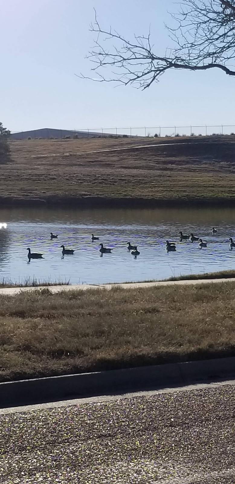 Buddy Holly Recreation Area | N University Ave & Cesar E Chavez Dr, Lubbock, TX 79415, USA | Phone: (806) 775-2687