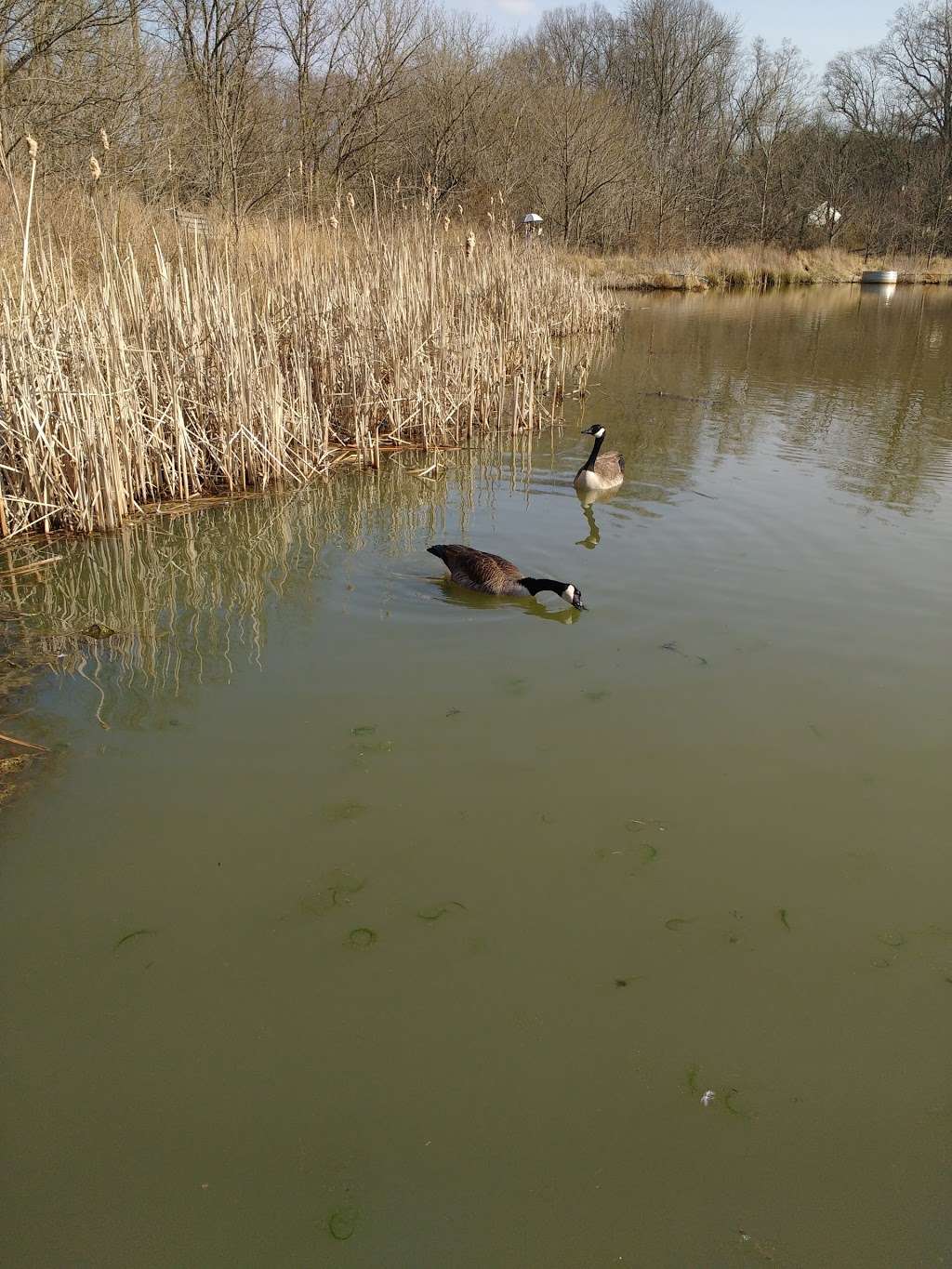 Font Hill Park | Ellicott City, MD 21042, USA