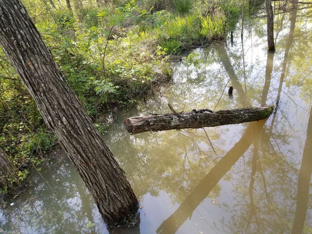 West Branch Nature Preserve | 18232 Shearer Rd, Davidson, NC 28036, USA