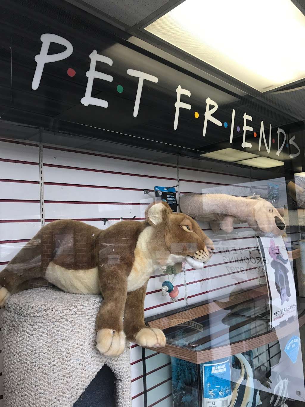 Pet Friends | 38 Vanderbilt Motor Pkwy, Commack, NY 11725, USA | Phone: (631) 499-9797