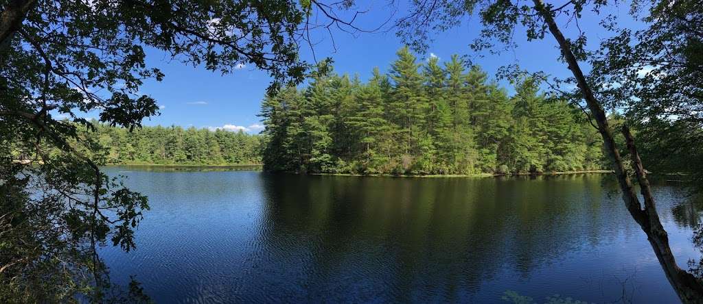 F. Gilbert Hills State Forest | 45 Mill St, Foxborough, MA 02035, USA | Phone: (508) 543-9084