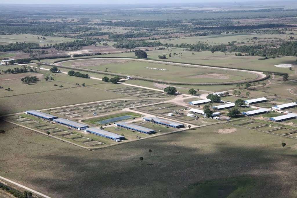 Payson Park Thoroughbred | 9700 SW Kanner Hwy, Indiantown, FL 34956, USA | Phone: (772) 597-3555