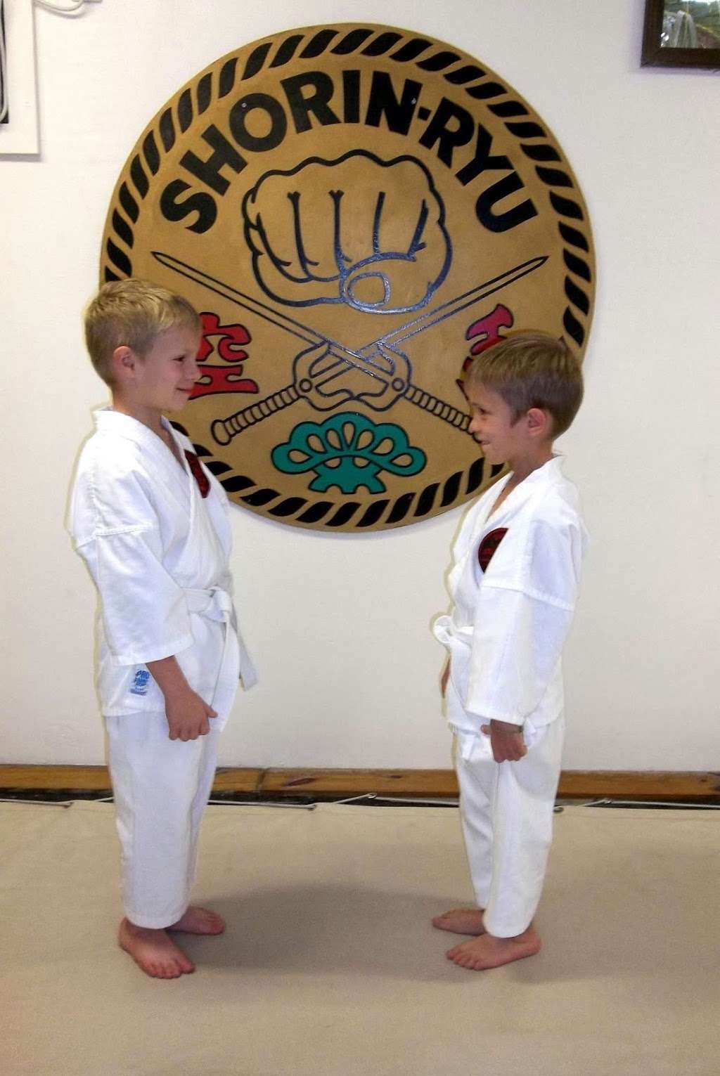 Okinawan Karate Dojo, inc. | 1755 S Tropical Trail #5219, Merritt Island, FL 32952 | Phone: (321) 459-3000