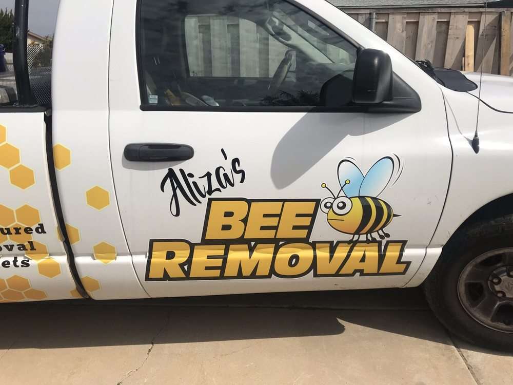 Alizas Bee Removal Service | 12041 Sunderland St, Poway, CA 92064, USA | Phone: (619) 666-3912