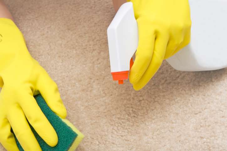 Speedkleen Carpet & Floor Cleaning - Cleaning service, Carpet Cl | 26 S Locust St, Aurora, IL 60506, USA | Phone: (847) 630-4246