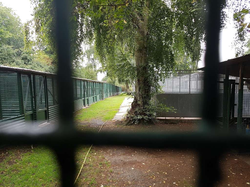 Deneland Boarding Kennels & Cattery | Turnagain Lodge, Hook Green Lane, Dartford, Wilmington DA2 7AJ, UK | Phone: 01322 225191