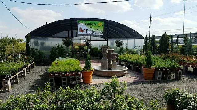 Houston Plants & Garden World | 16726 North Fwy, Houston, TX 77090, USA | Phone: (281) 830-2089