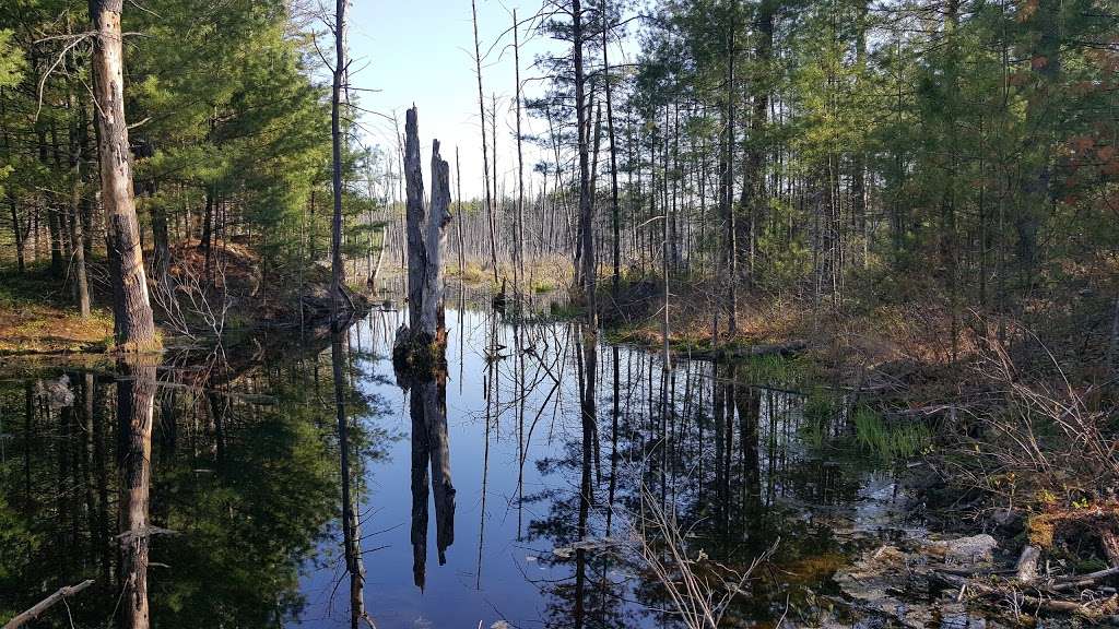 Musquash Conservation Area | Londonderry, NH 03053, USA