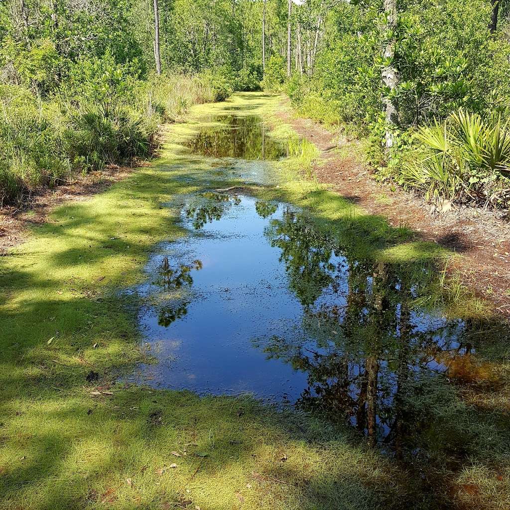 Tibet-Butler Nature Preserve | 8777 Winter Garden Vineland Rd, Orlando, FL 32836 | Phone: (407) 254-1940