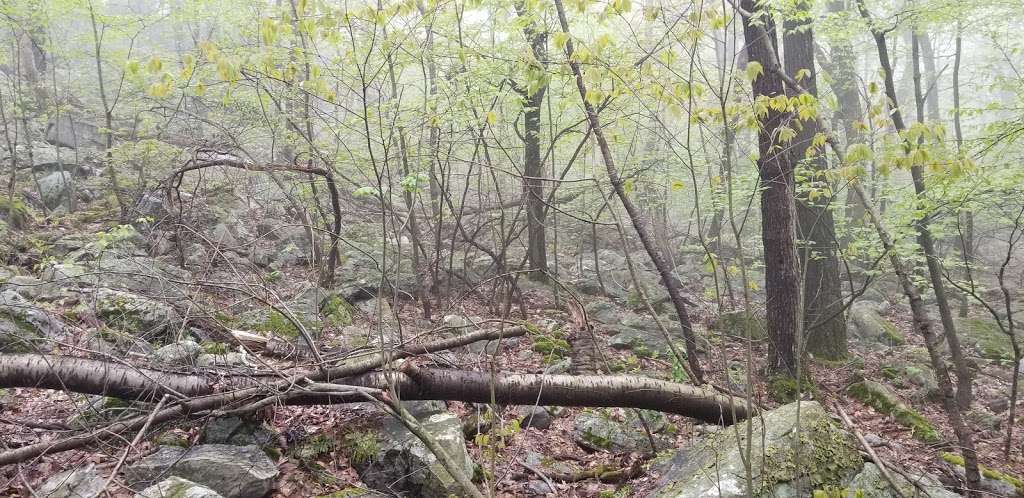 Appalachian Trail - Wolf Rocks | Valley View Dr, Bangor, PA 18013