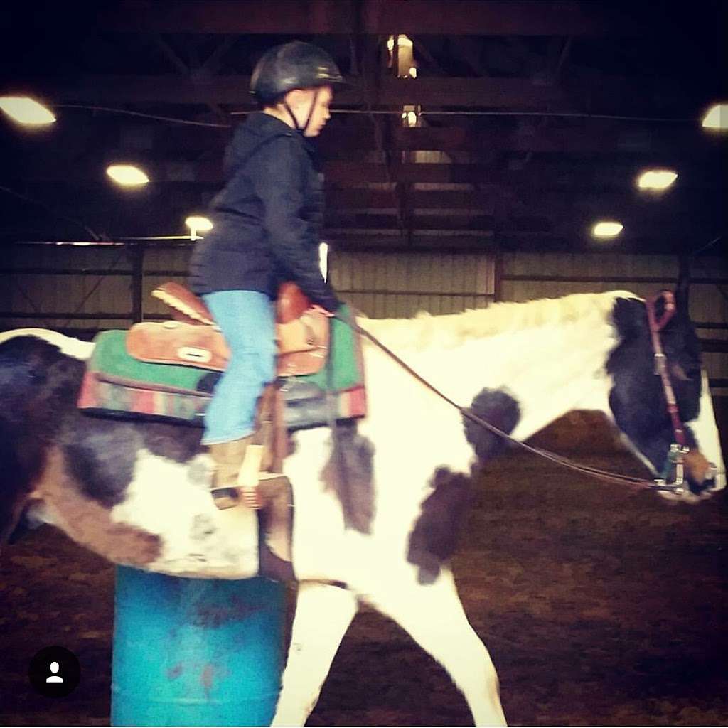 Sunset Trails Stables | 2100 SE Ranson Rd, Lees Summit, MO 64082 | Phone: (816) 554-7699