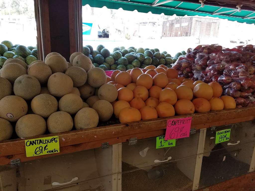 Steele Canyon Produce | 12869 Campo Rd, Spring Valley, CA 91978 | Phone: (619) 669-1166
