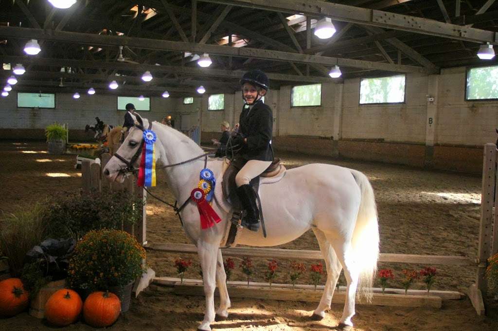 Glen Grove Equestrian Center | 9453 Harms Rd, Morton Grove, IL 60053, USA | Phone: (847) 966-8032