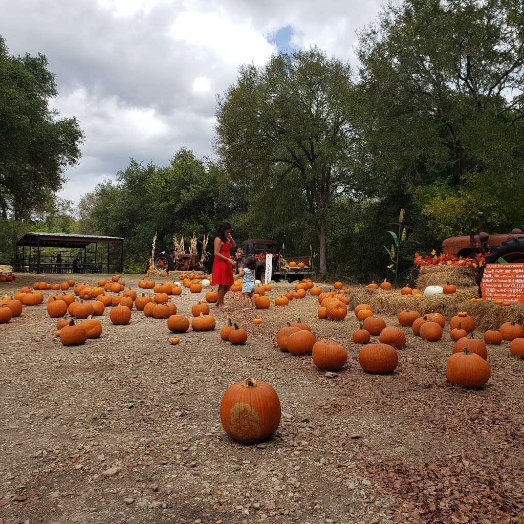 Owl Creek Farm | 12355 Military Dr W, San Antonio, TX 78253, USA | Phone: (210) 616-6585