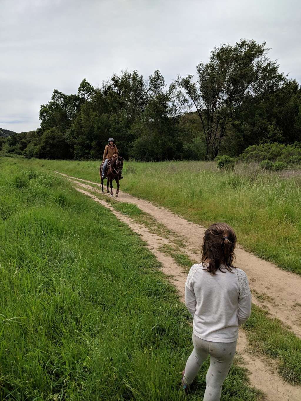 Ohair Park | Novato, CA 94947, USA