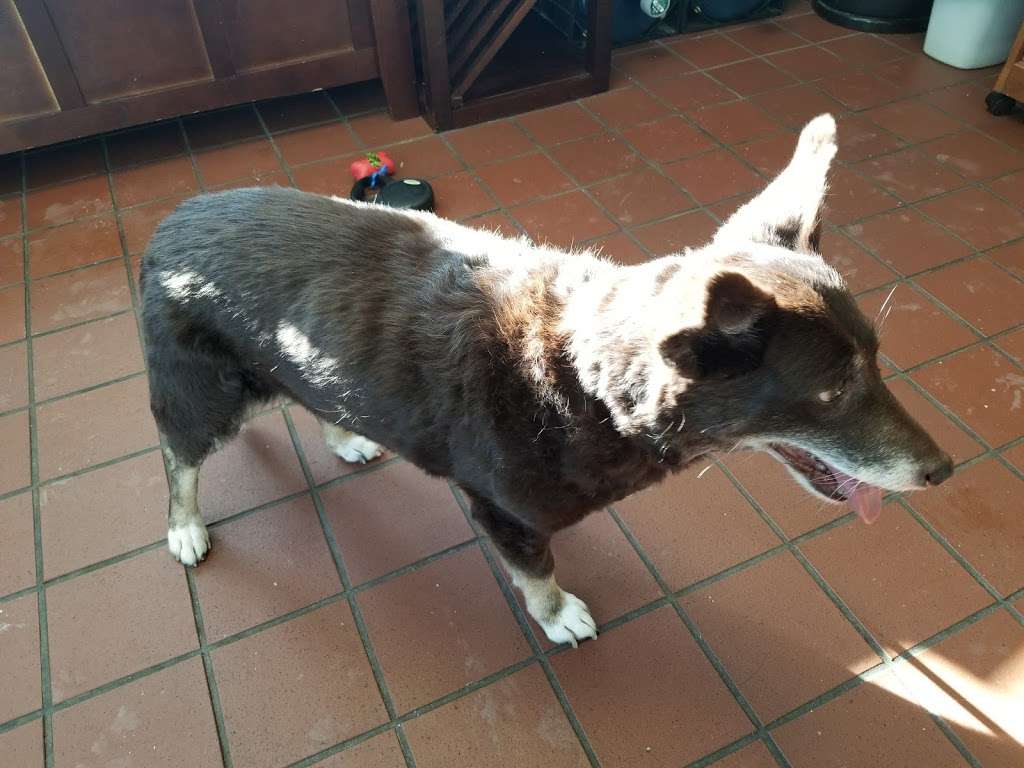 Muddy Creek Animal Care Center | 993 Haverhill St, Rowley, MA 01969, USA | Phone: (978) 948-2345