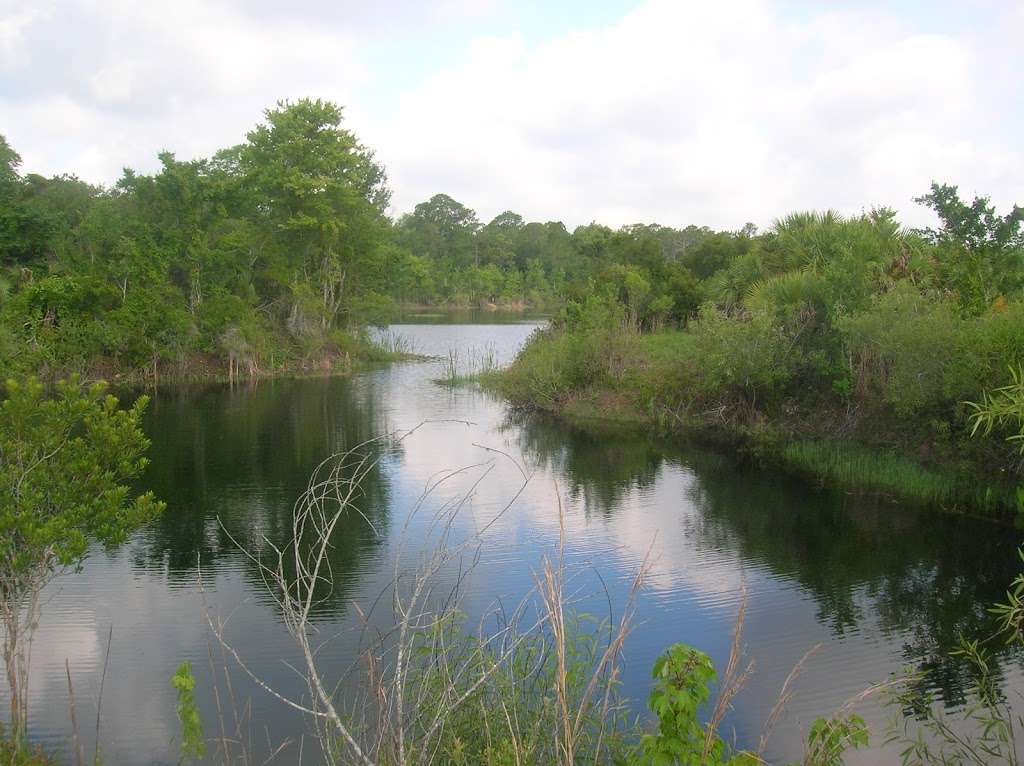 Green Swamp Wildlife Management Area - park  | Photo 4 of 10 | Address: 28057 US Highway 471, Webster, FL 33597, USA | Phone: (863) 648-3200
