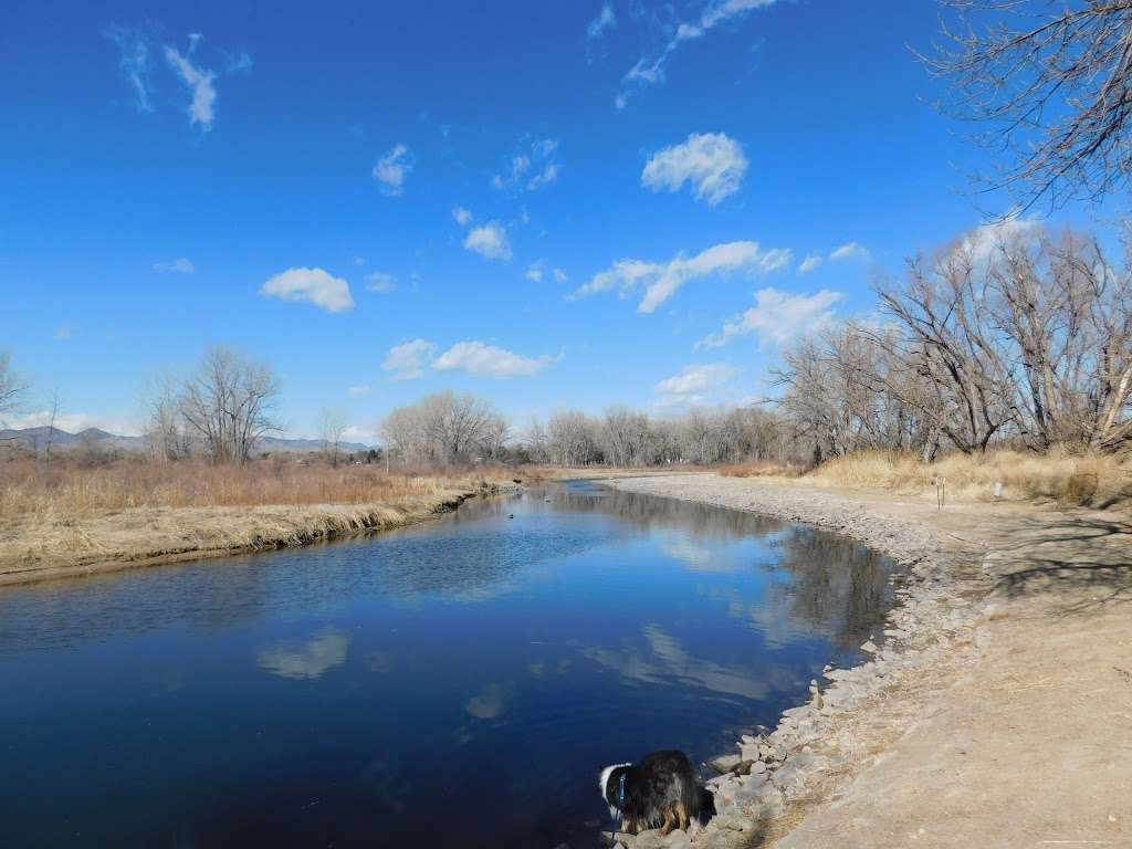 Northern Wildlife Area | Mary Carter Greenway Trail, Littleton, CO 80120, USA