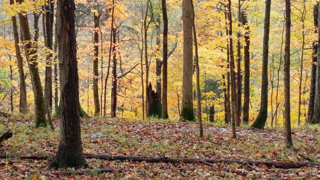 Floracliff Nature Sanctuary | 8000 Elk Lick Falls Rd, Lexington, KY 40515, USA | Phone: (859) 296-0986