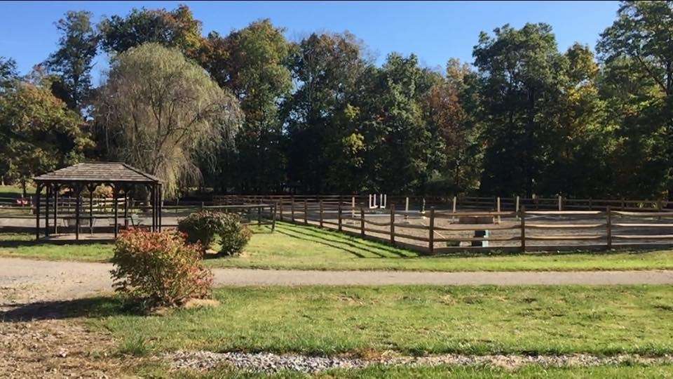 Bedminster Stables | 100 River Rd W, Bedminster Township, NJ 07921 | Phone: (908) 396-6333