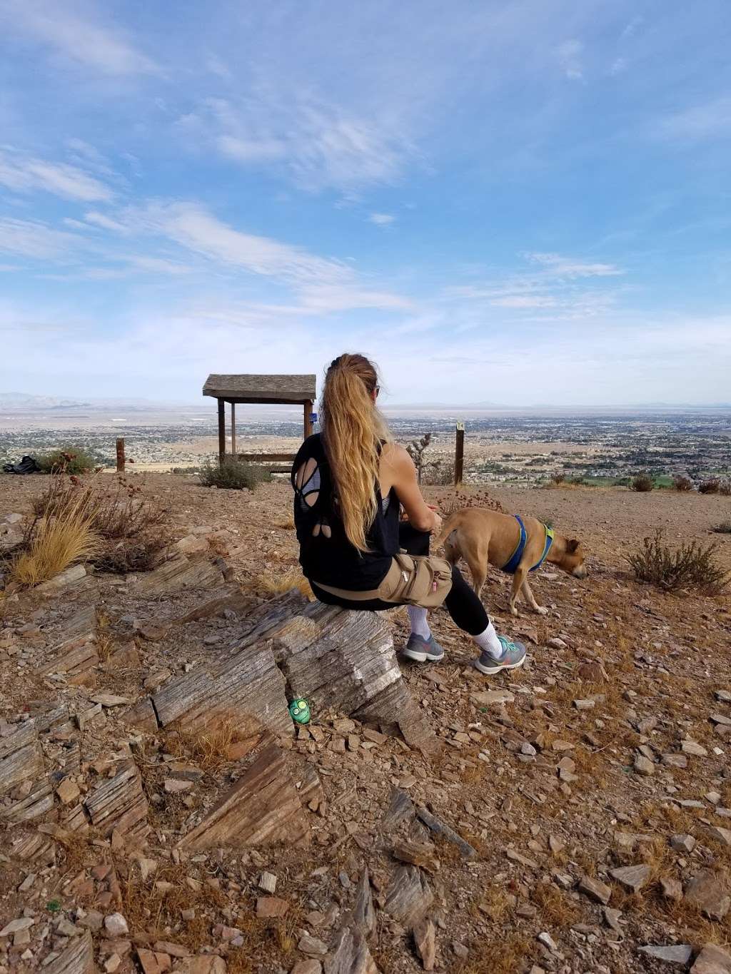 Sgt. Steve Owen Bench | 3001002078, Palmdale, CA 93551, USA