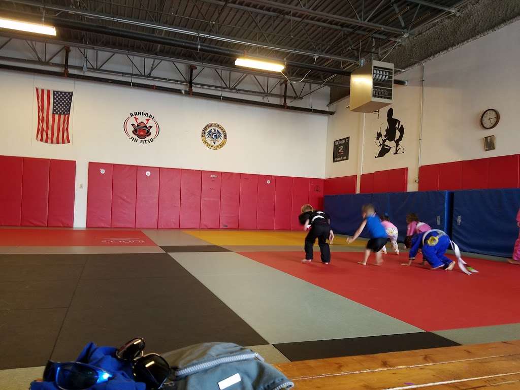 Randori Jiu Jitsu | 12509 W 159th St, Homer Glen, IL 60491 | Phone: (708) 374-1446