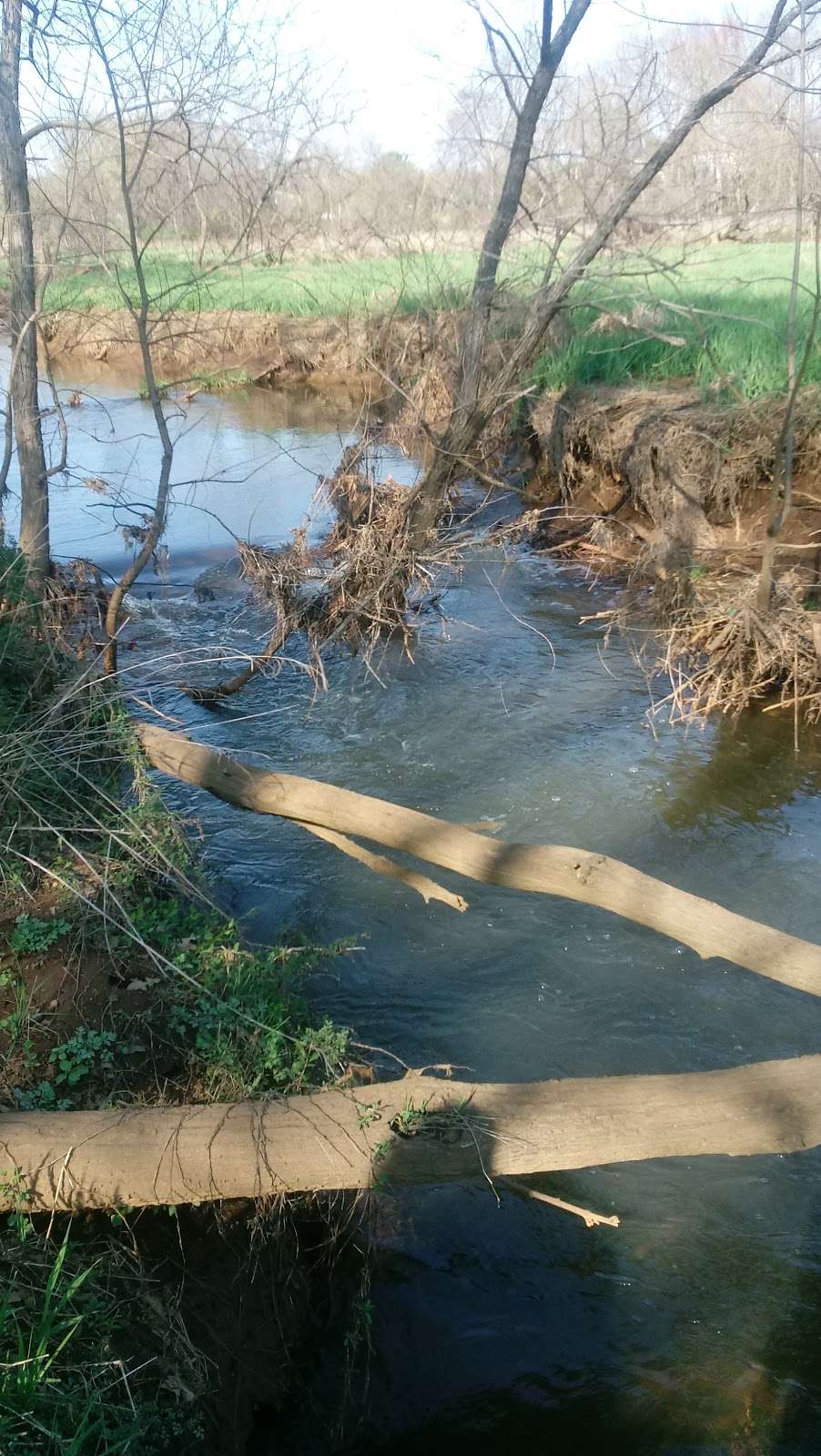 Manasquan River Linear Park | Freehold, NJ 07728, USA