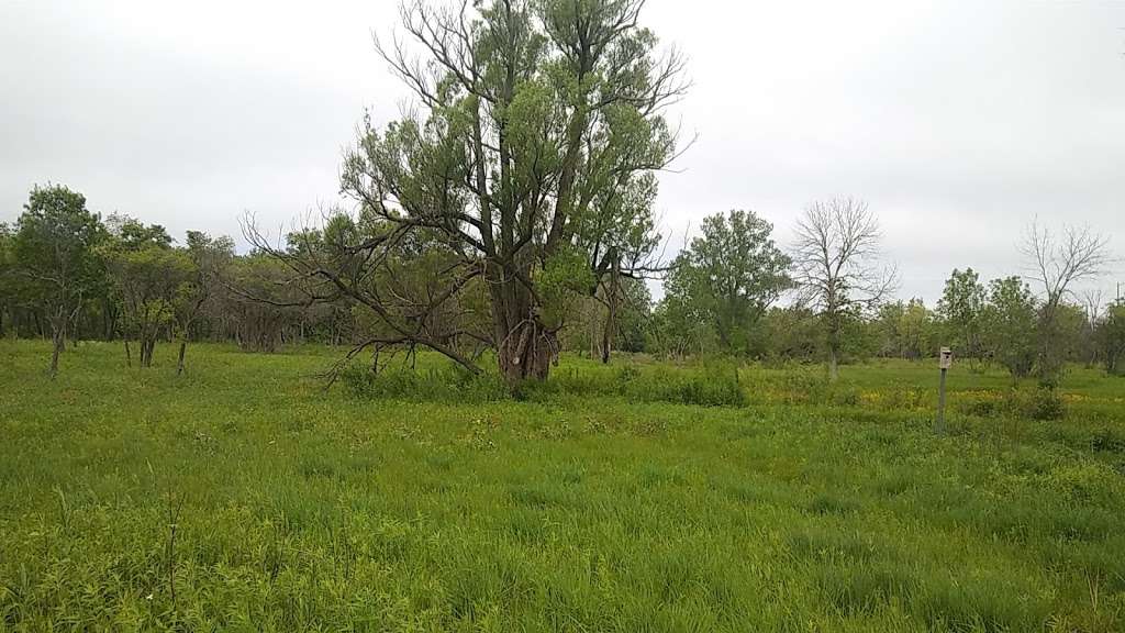 LBOLAs Skokie River Prairie Land and Water Reserve | 250 Rockland Rd, Lake Bluff, IL 60044, USA | Phone: (847) 234-2860