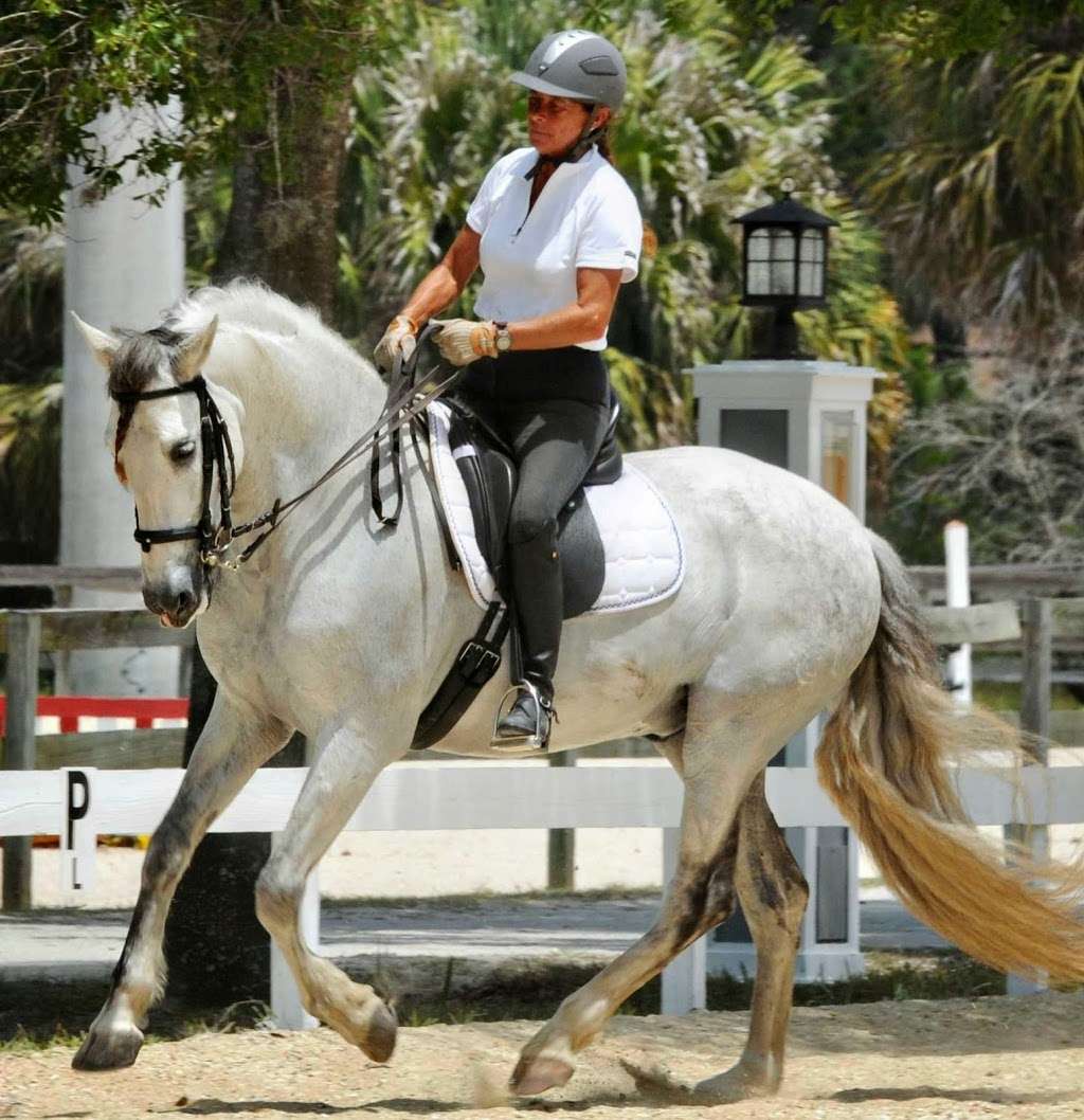 A-to-Z Riding School | 3515 Montgomery Rd, Mims, FL 32754, USA | Phone: (321) 604-5069