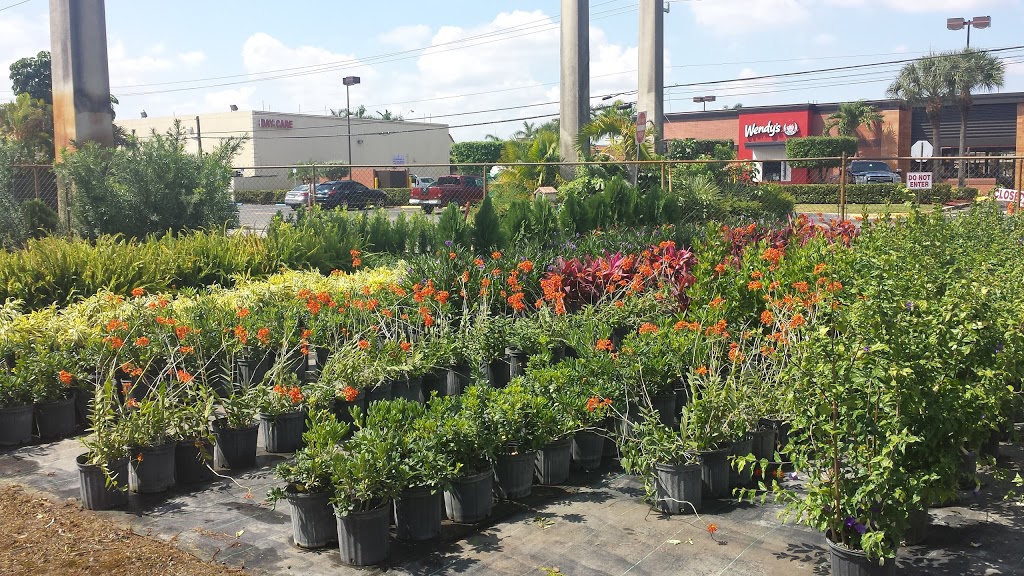 My Garden Center | 13600 Coral Way, Miami, FL 33175, USA | Phone: (305) 207-2424