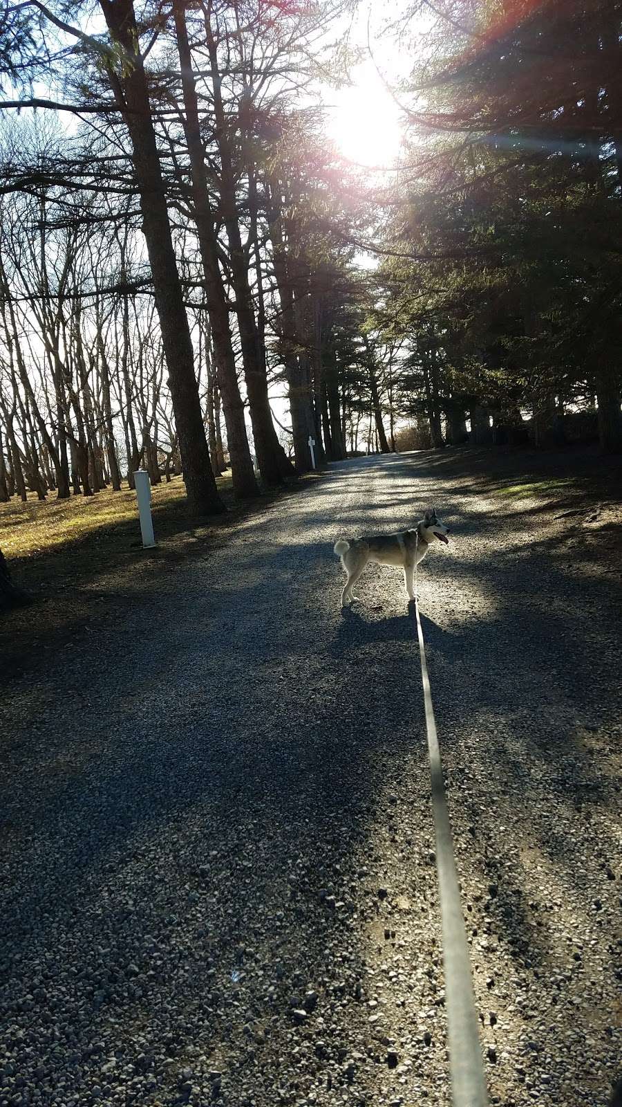 Blandy Experimental Farm | 400 Blandy Farm Ln, Boyce, VA 22620, USA | Phone: (540) 837-1758