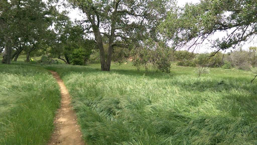 Cheeseboro and Palo Comado Canyon | 5792 Chesebro Rd, Agoura Hills, CA 91301, USA | Phone: (805) 370-2301