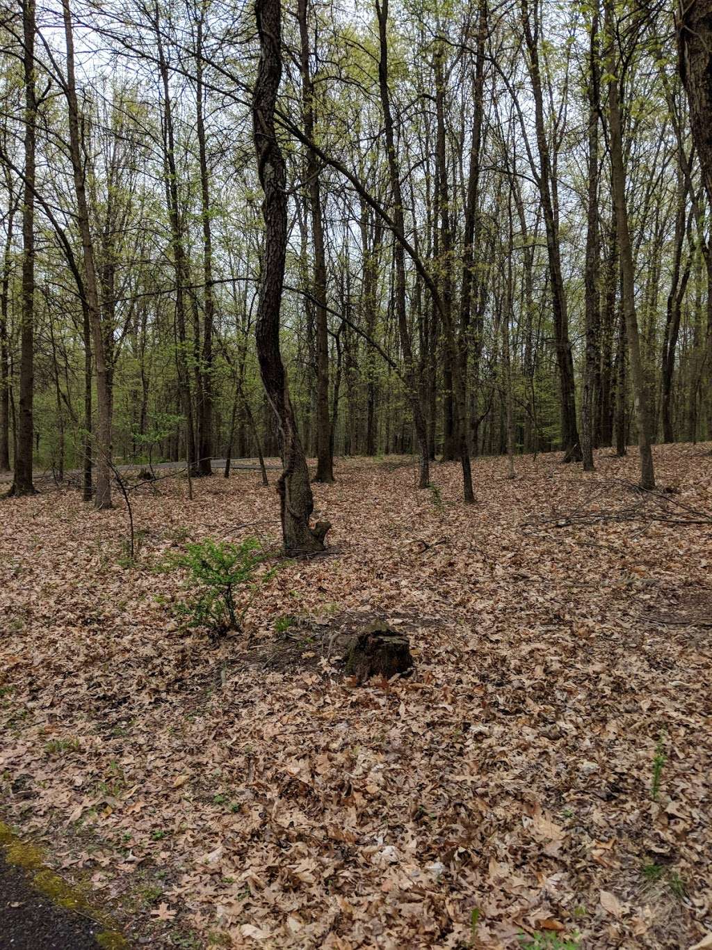 Wallkill River Streamside Park | 83-99 Bachelor St, Montgomery, NY 12549, USA