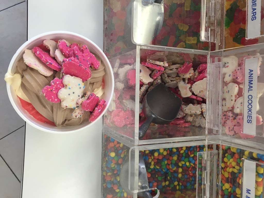 Yogurt Americas Cup | 427 E 17th St E, Costa Mesa, CA 92627, USA | Phone: (949) 650-2447