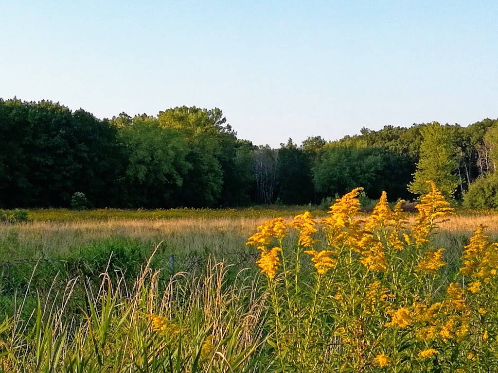 Knollwood Conservation Park | 3334 Westview Ln, Madison, WI 53713, USA | Phone: (608) 266-4711