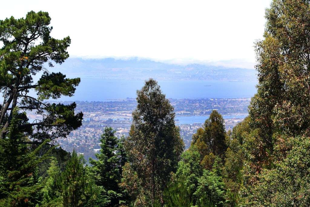 Redwood Bowl Staging Area | Fern Ravine Trail, Oakland, CA 94611, USA | Phone: (888) 327-2757