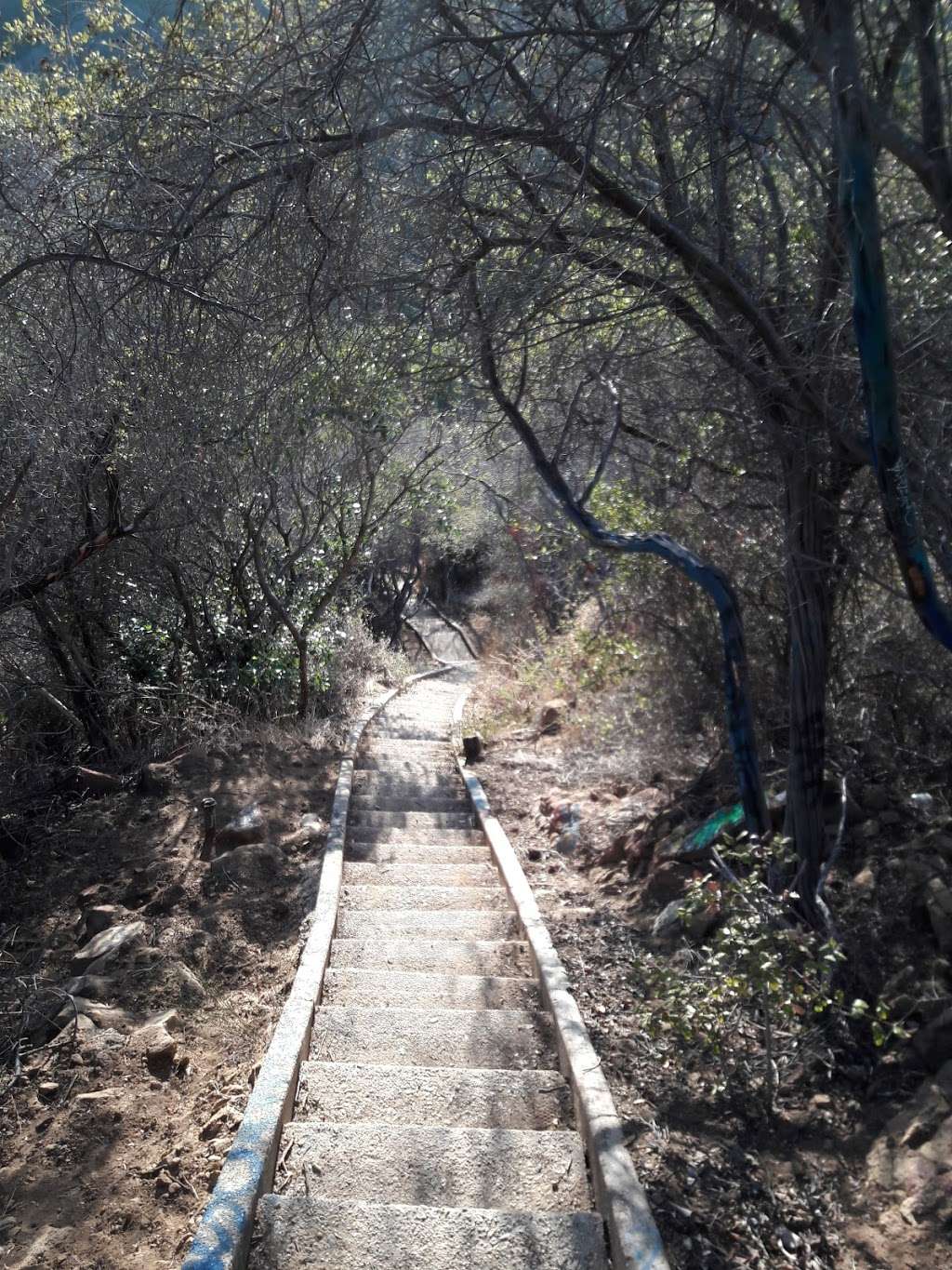 Murphy Ranch West Stairs | Los Angeles, CA 90049