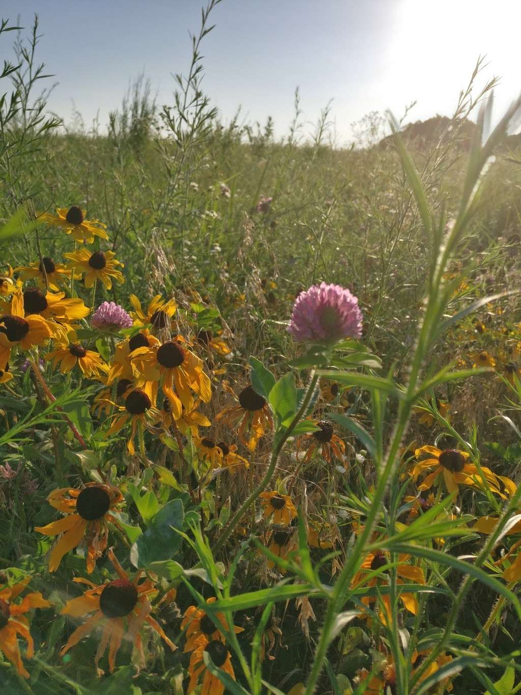 Battle Of Island Mound State Historic Site | NW 1002 Rd, Butler, MO 64730, USA | Phone: (800) 334-6946