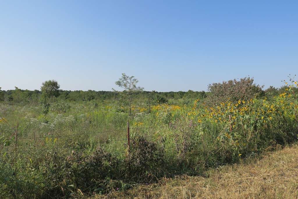 Marais des Cygnes National Wildlife Refuge | 16382 US-69, Pleasanton, KS 66075, USA | Phone: (913) 352-8956