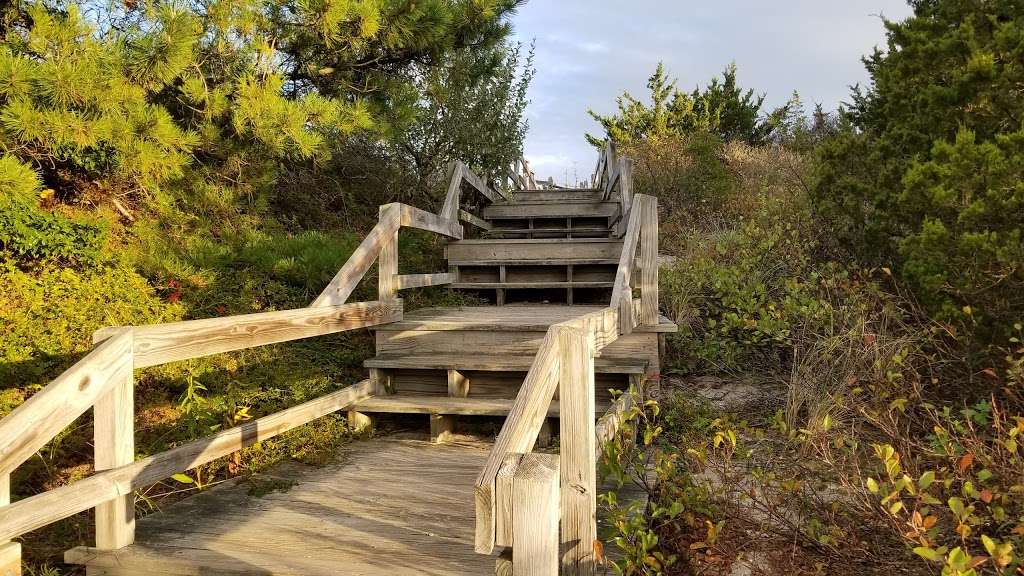 Barnegat Lighthouse State Park | 208 Broadway, Barnegat Light, NJ 08006, USA | Phone: (609) 494-2016